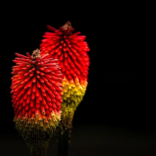 C7娱乐百家乐游戏